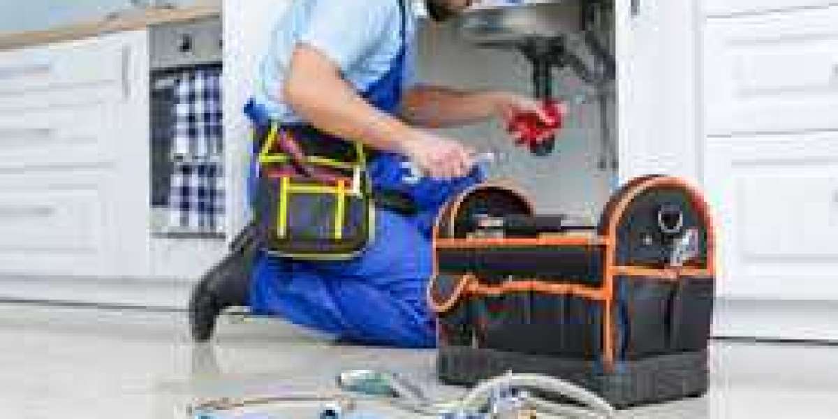 The Ultimate Guide to Finding the Best Plumber in Boca Raton