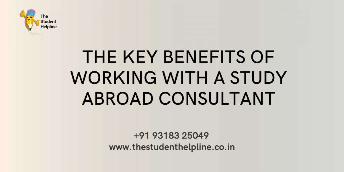 The Key Benefits of Working with a Study Abroad Consultant