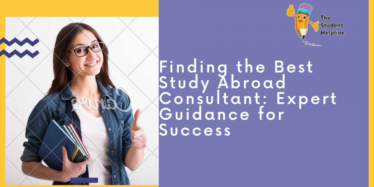 Finding the Best Study Abroad Consultant: Expert Guidance for Success