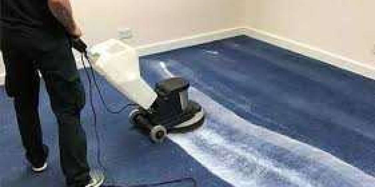 Why Every Home Needs Professional Carpet Cleaning: The Essential Benefits