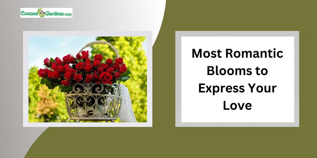 Most Romantic Blooms to Express Your Love