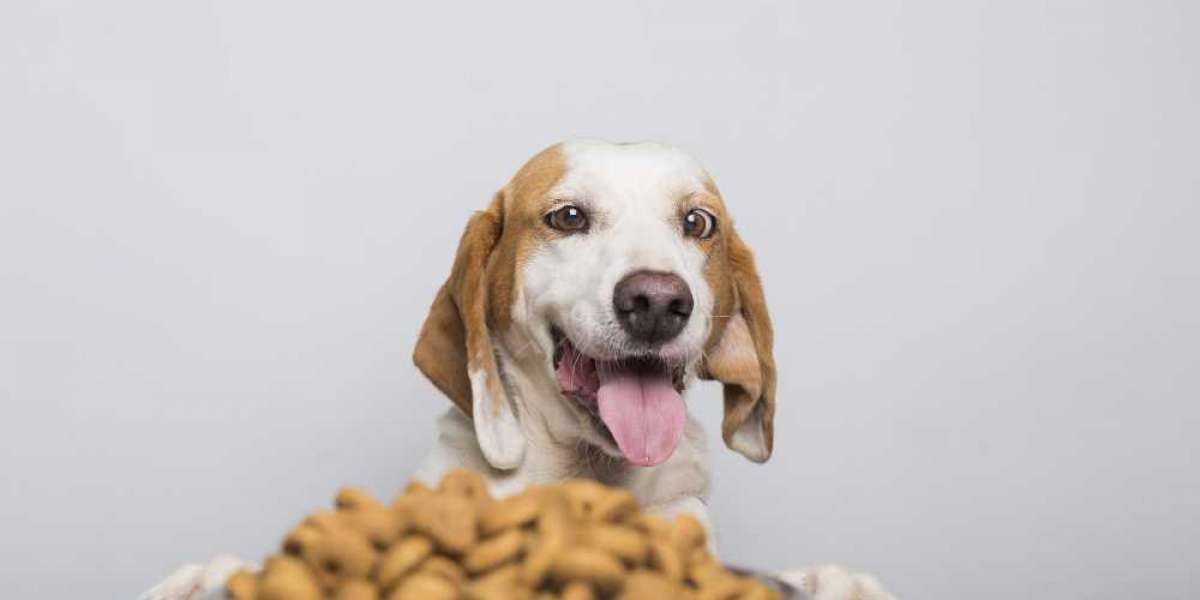 How to Safely Introduce Probiotics to Your Dog's Diet