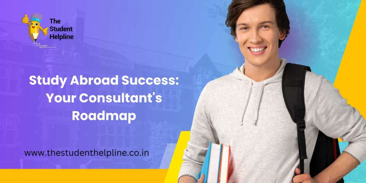 Study Abroad Success: Your Consultant's Roadmap