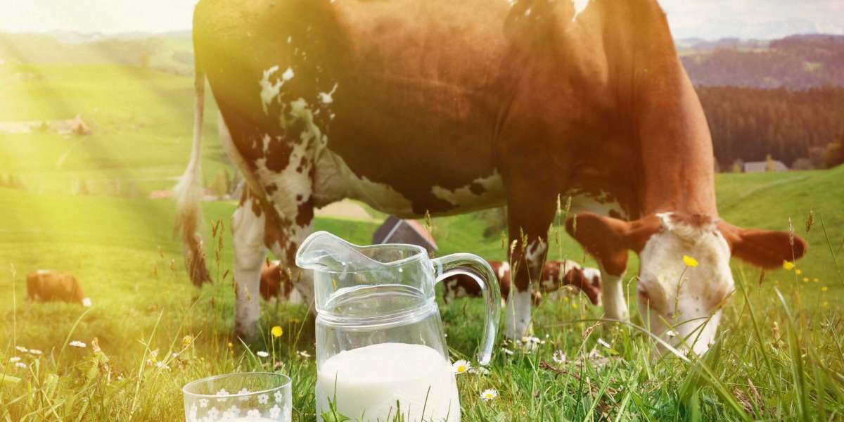 Increase Your Farm’s Profits With Budget-friendly Milking Machines