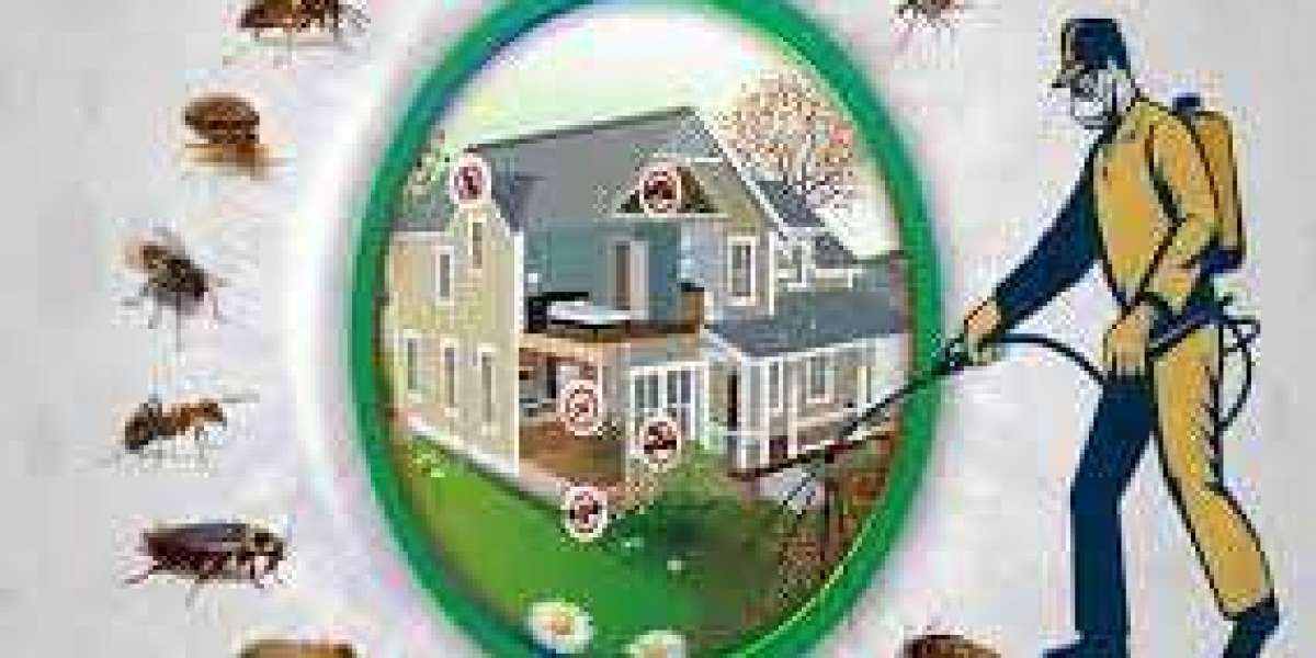 Top List Of Pest Control Services in UAE