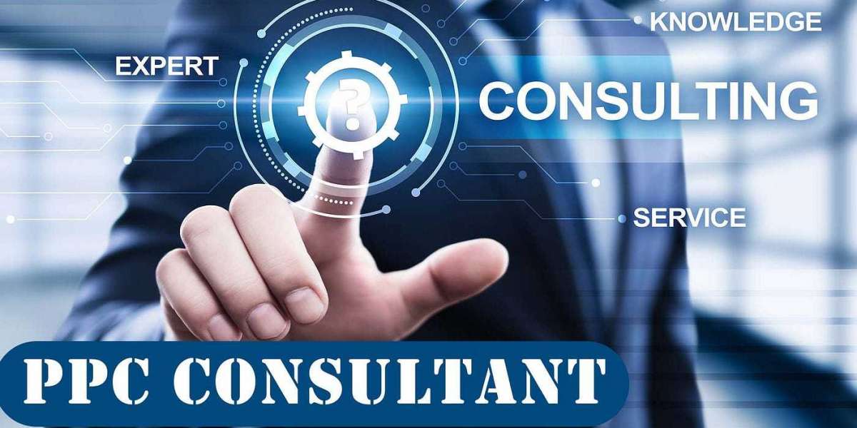 Pay Per Click Consultant