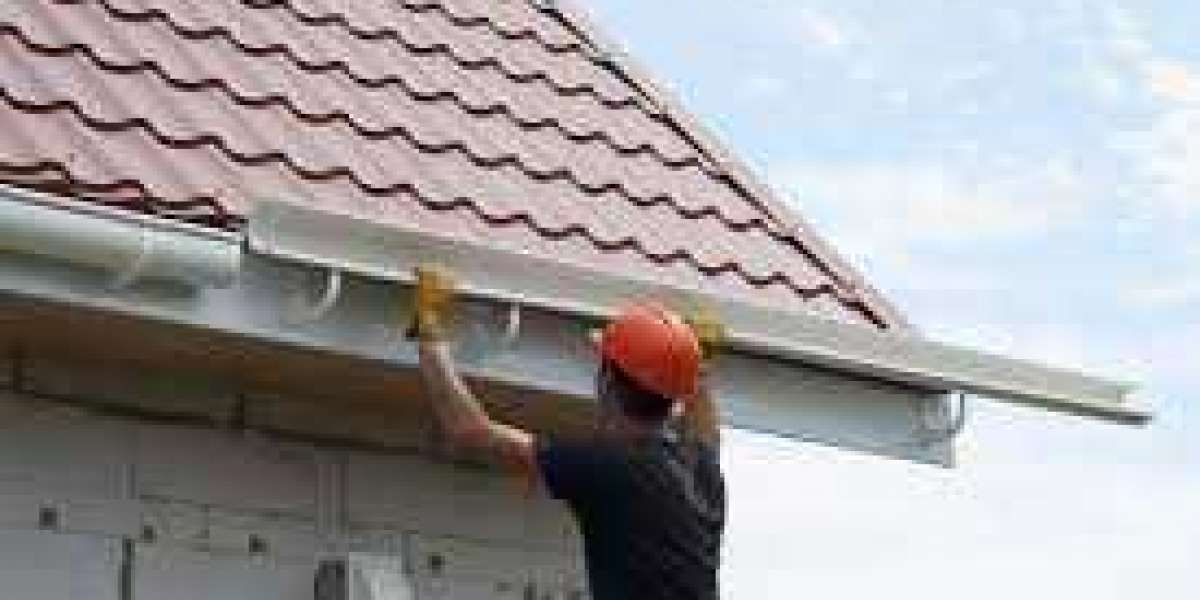 Solar Panel & Gutter Maintenance: Eastern Suburbs