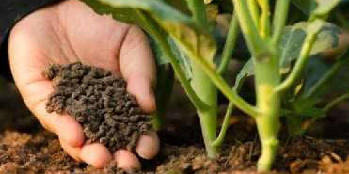 Agricultural Micronutrients Market Industry Size, Share Industry Trends & Reports