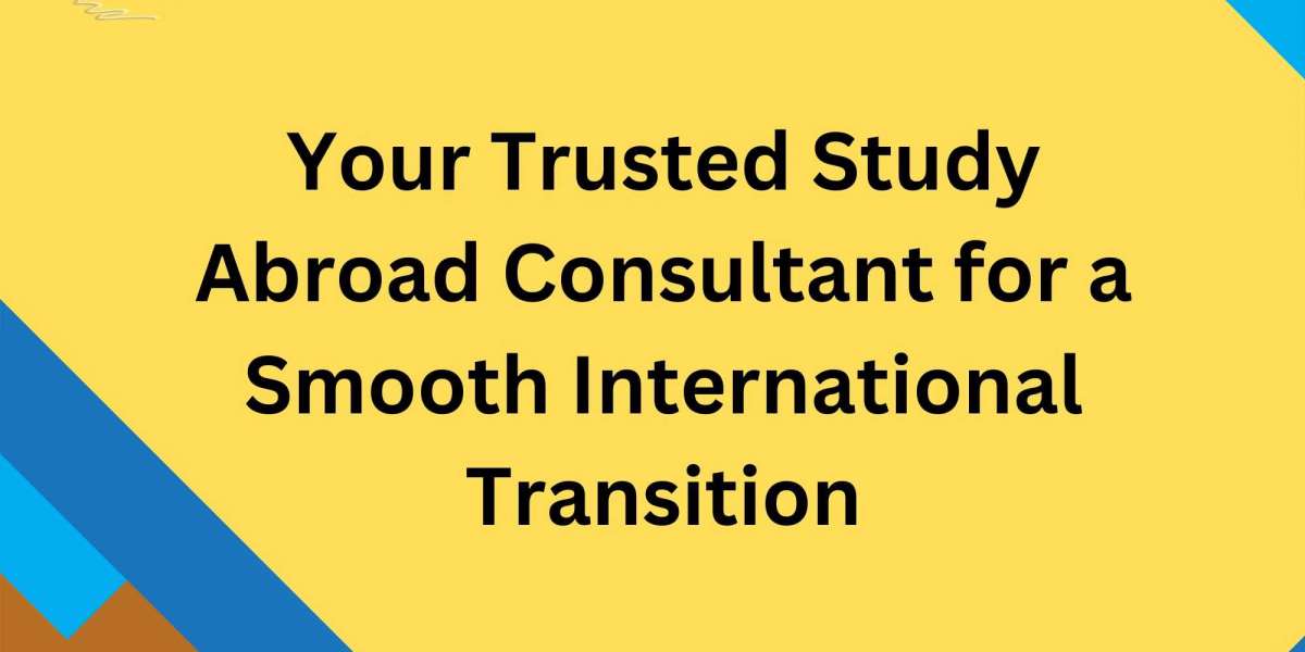 Your Trusted Study Abroad Consultant for a Smooth International Transition