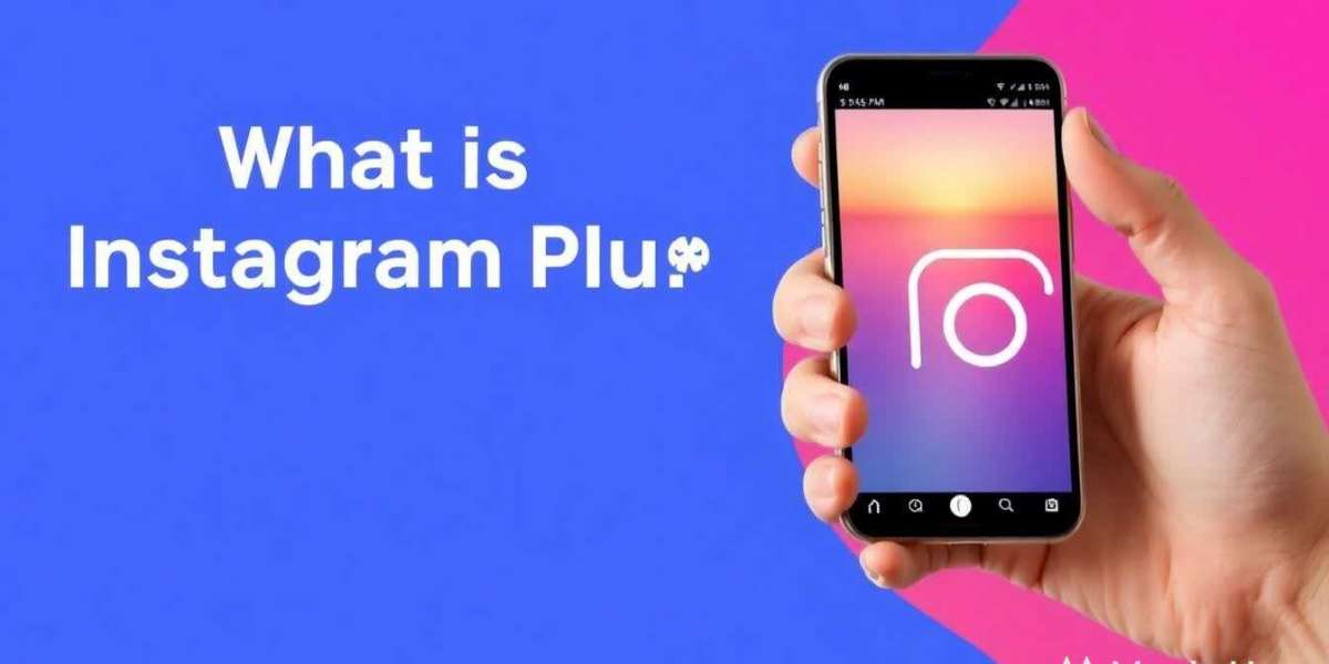 What is Insta Plus? Everything You Need to Know