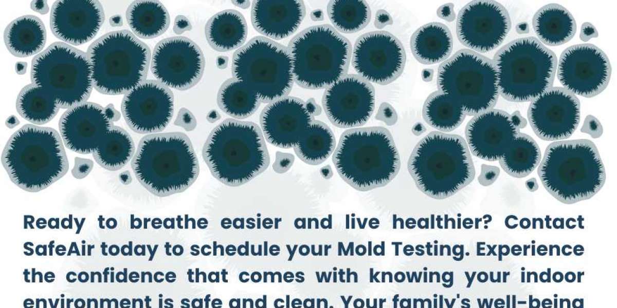 Mold Testing in Malibu: Safeguarding Health and Property